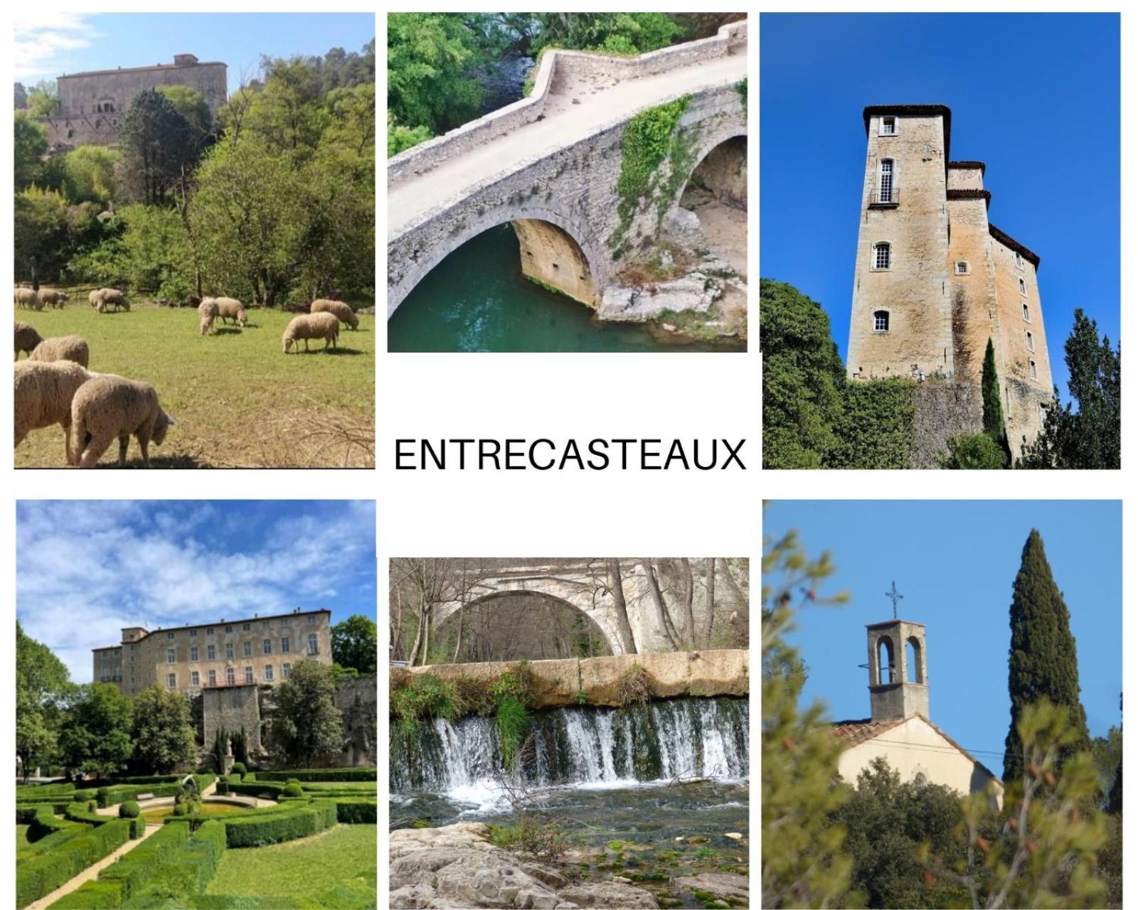 La Bergerie Des Colles Bed & Breakfast Entrecasteaux Bagian luar foto