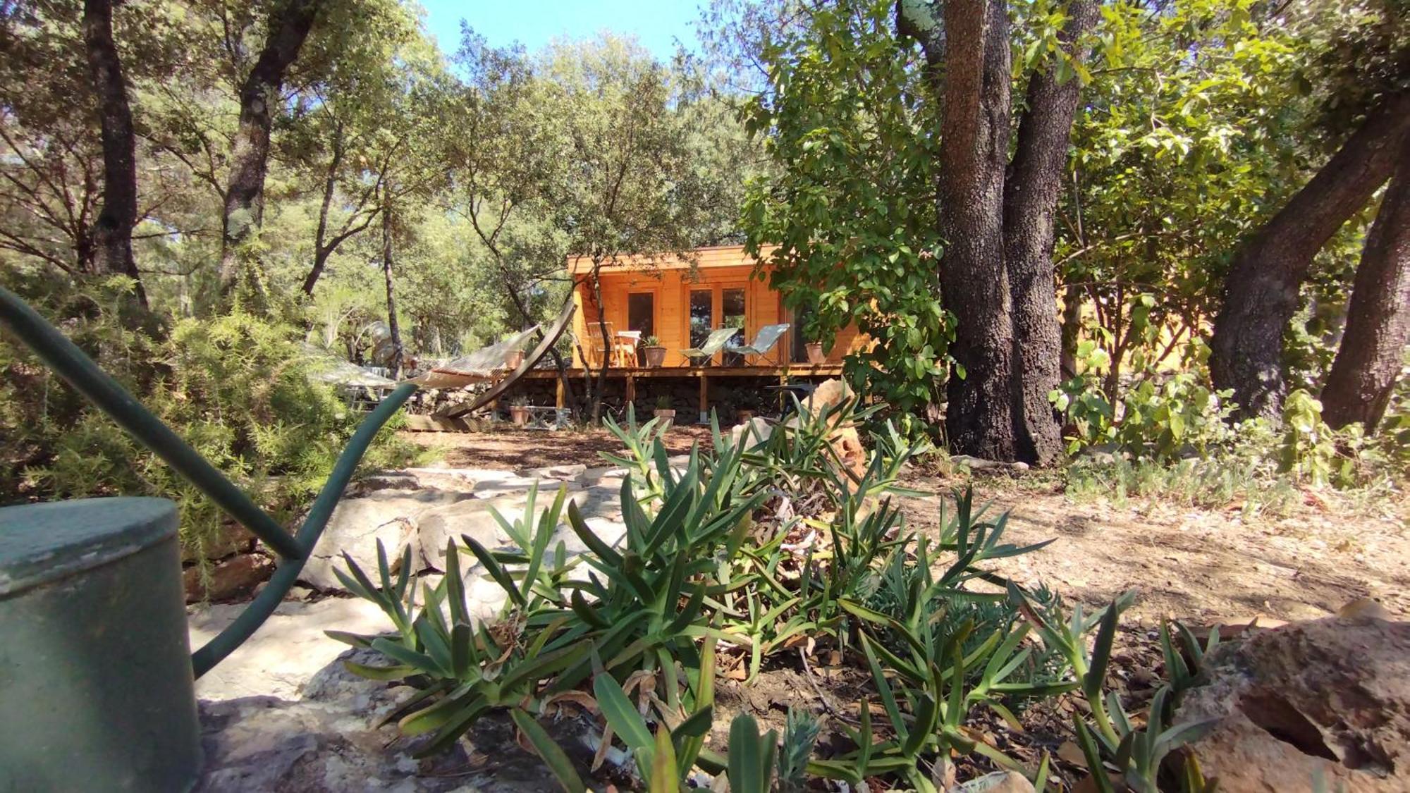 La Bergerie Des Colles Bed & Breakfast Entrecasteaux Bagian luar foto